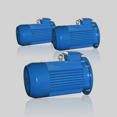 Low Speed Wind Turbine Generator Brushless DC Motor 22kw 3phase
