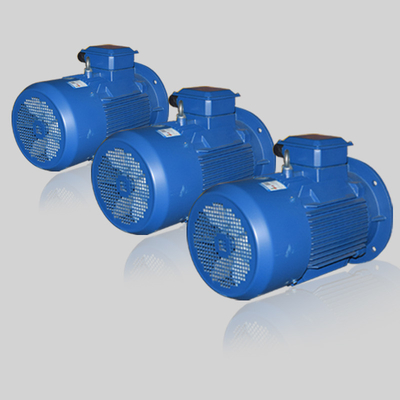 AC Electric Vibration Motors Capacity 0.75/1.1/1.5/2.2/3/4/5.5/7.5/11/15/22/30/37/45/55/75kw 600-2980rpm