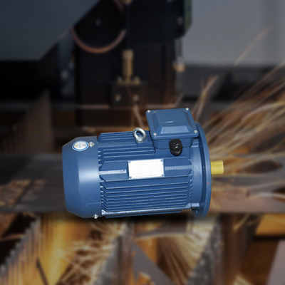 AC Electric Vibration Motors Capacity 0.75/1.1/1.5/2.2/3/4/5.5/7.5/11/15/22/30/37/45/55/75kw 600-2980rpm